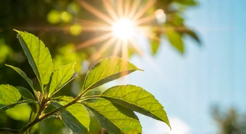 Einfluss des Sonnenlichts auf die Vitamin D-Produktion (3/10)